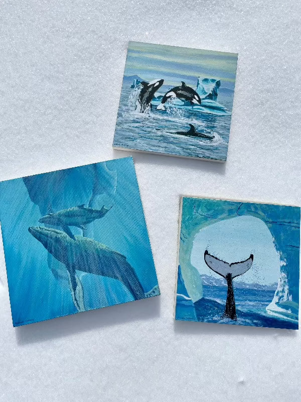 Whale Paintings - 12x12